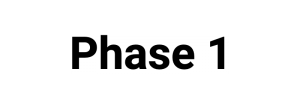 Phase 1