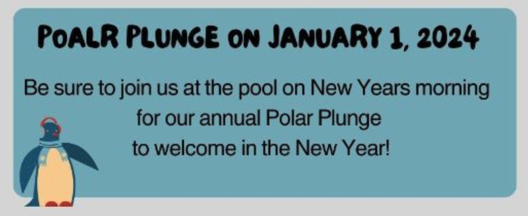 Polar Bear Plunge 2024
