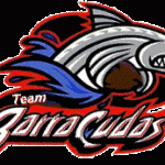 Team Barracudas Swim Team