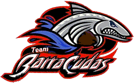 Team Barracudas Swim Team